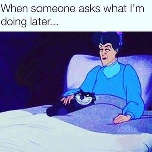 Meet your Posher, Thomas